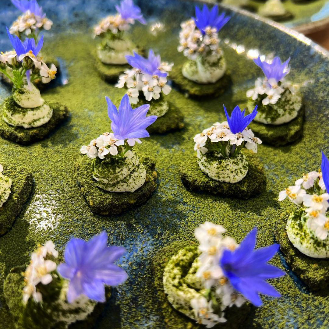 Sea Salt. 6x Seaweed & Super-Seed Snacks
